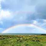 4 Star Holiday Home In Hadsund * Hadsund